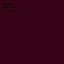 #360416 - Aubergine Color Image