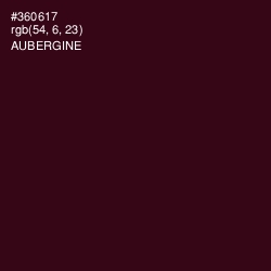 #360617 - Aubergine Color Image
