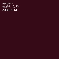 #360A17 - Aubergine Color Image