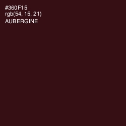 #360F15 - Aubergine Color Image