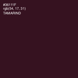 #36111F - Tamarind Color Image