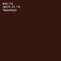 #361710 - Tamarind Color Image