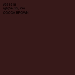 #361918 - Cocoa Brown Color Image