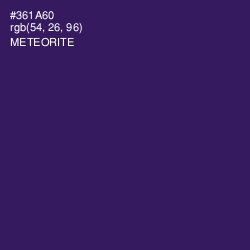 #361A60 - Meteorite Color Image