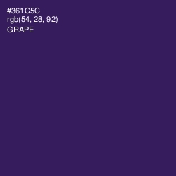 #361C5C - Grape Color Image