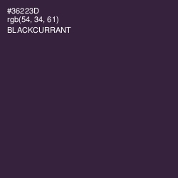 #36223D - Blackcurrant Color Image