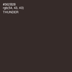 #362B28 - Thunder Color Image