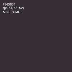 #363034 - Mine Shaft Color Image