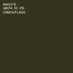 #36341D - Camouflage Color Image