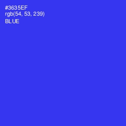 #3635EF - Blue Color Image