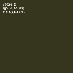 #36361E - Camouflage Color Image