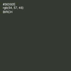 #36392E - Birch Color Image