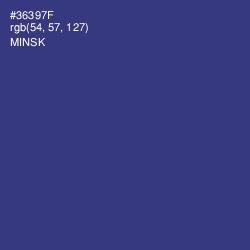 #36397F - Minsk Color Image