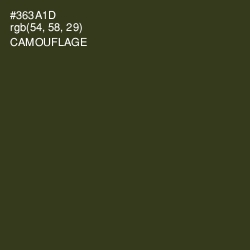 #363A1D - Camouflage Color Image