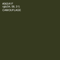 #363A1F - Camouflage Color Image
