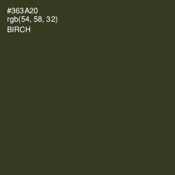 #363A20 - Birch Color Image