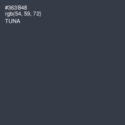 #363B48 - Tuna Color Image