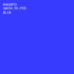 #363BFD - Blue Color Image