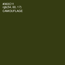 #363C11 - Camouflage Color Image