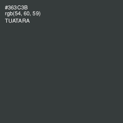 #363C3B - Tuatara Color Image