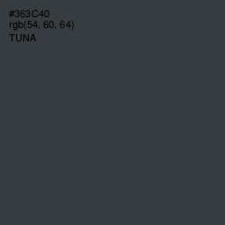 #363C40 - Tuna Color Image