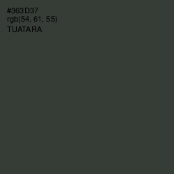 #363D37 - Tuatara Color Image