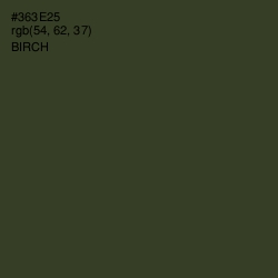 #363E25 - Birch Color Image