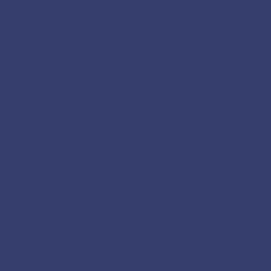 #363E6E - Rhino Color Image