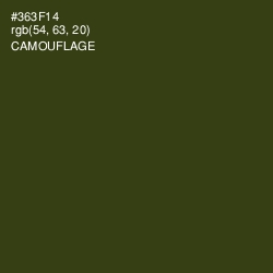 #363F14 - Camouflage Color Image