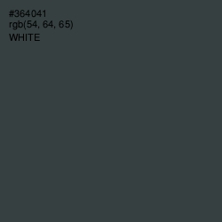 #364041 - Cape Cod Color Image
