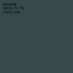 #364A4B - Cape Cod Color Image