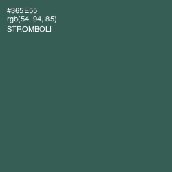 #365E55 - Stromboli Color Image