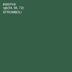 #365F48 - Stromboli Color Image