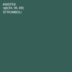 #365F58 - Stromboli Color Image