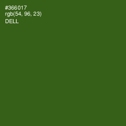#366017 - Dell Color Image
