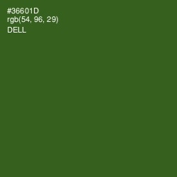 #36601D - Dell Color Image