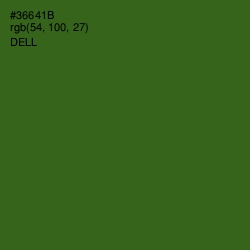 #36641B - Dell Color Image