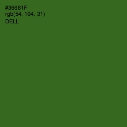 #36681F - Dell Color Image