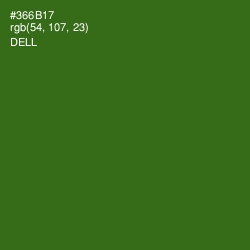 #366B17 - Dell Color Image