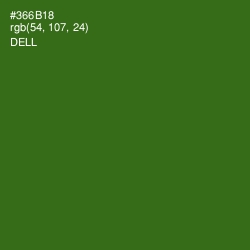 #366B18 - Dell Color Image