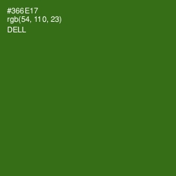 #366E17 - Dell Color Image