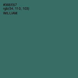 #366E67 - William Color Image