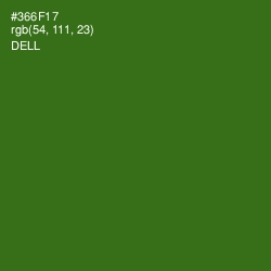 #366F17 - Dell Color Image