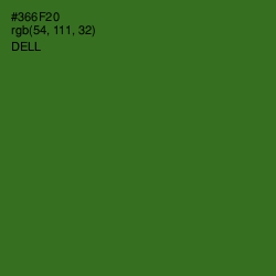 #366F20 - Dell Color Image