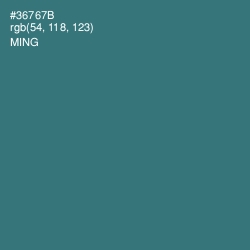#36767B - Ming Color Image