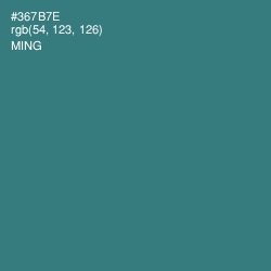 #367B7E - Ming Color Image