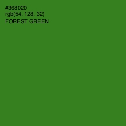 #368020 - Forest Green Color Image