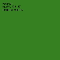 #368021 - Forest Green Color Image