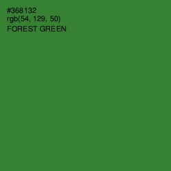 #368132 - Forest Green Color Image