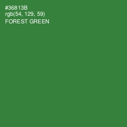 #36813B - Forest Green Color Image